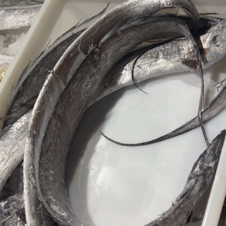 中国大陆刀鱼4条破肚