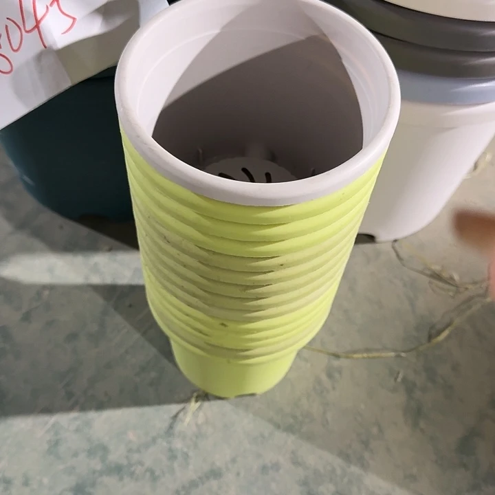 四季1号灰白无托20个