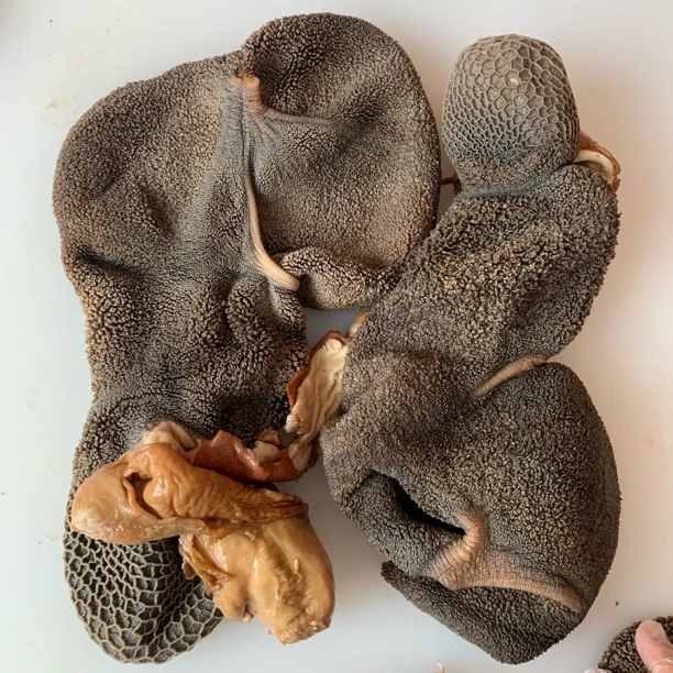 清真五香酱香羊肚 凉拌爆炒熬汤 5斤包邮