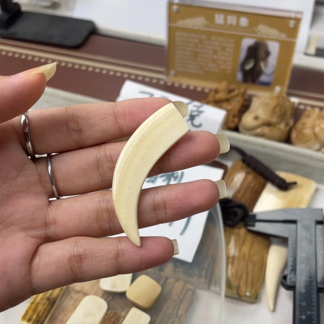 猛犸象牙手串/手链/手镯福利牙尖吊坠