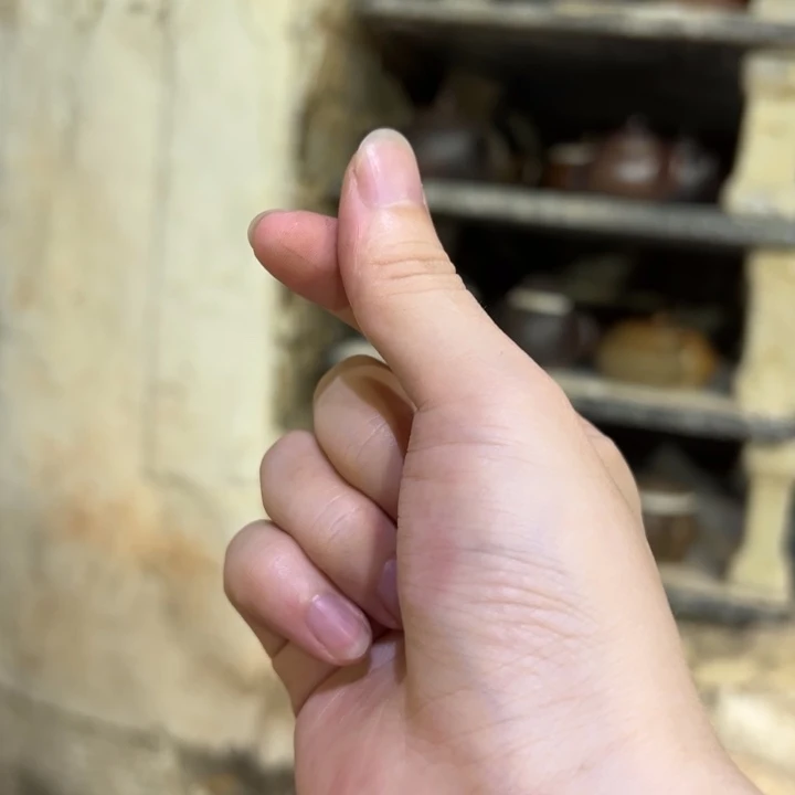 茶壶紫砂古法高温666666666666666666666