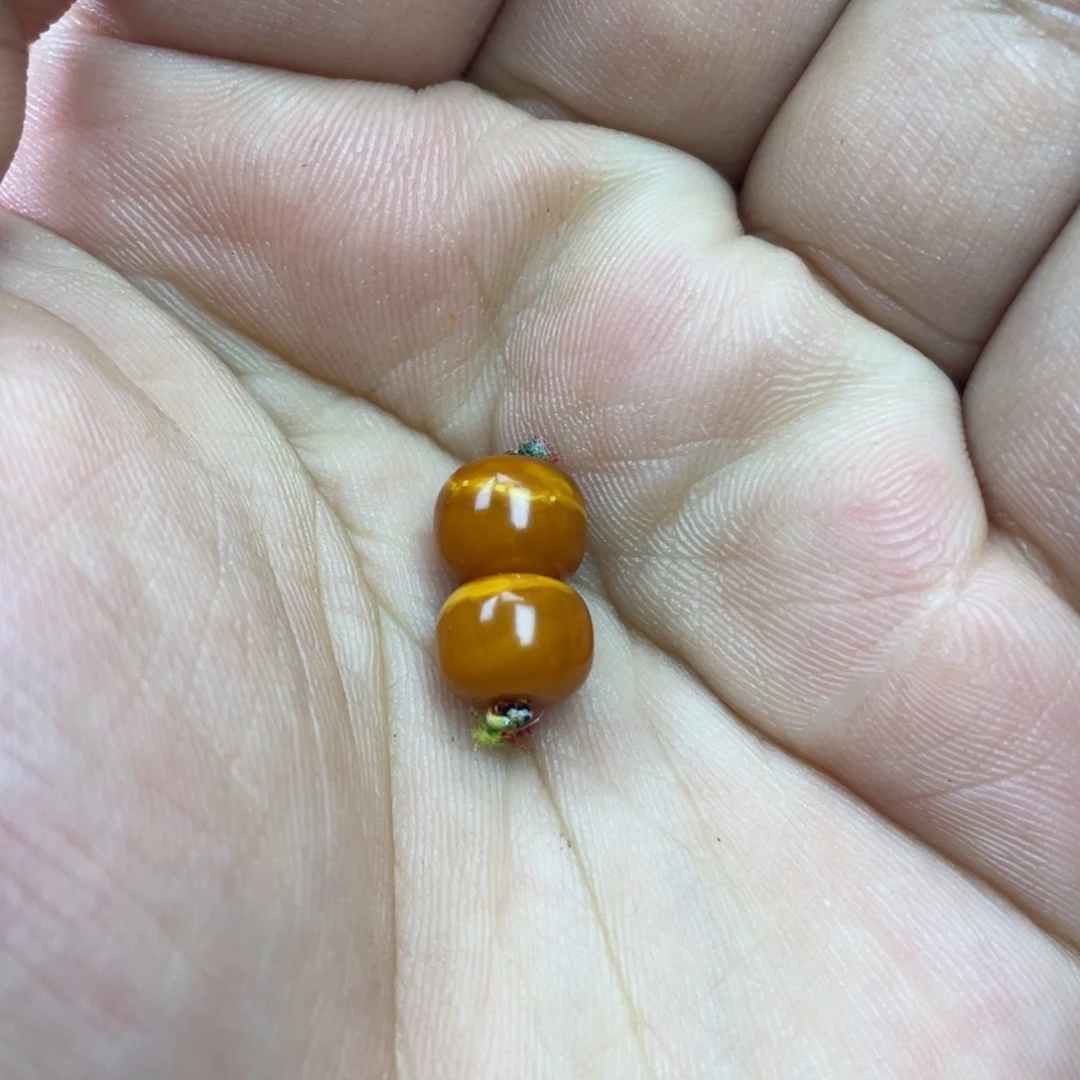 蜜蜡未镶嵌吊坠(不含链)