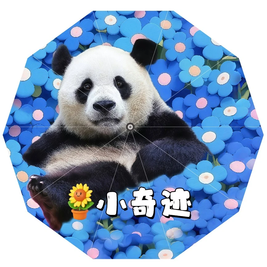 超级大的大熊猫小奇迹定制伞。晴雨两用，半径59厘米，十股