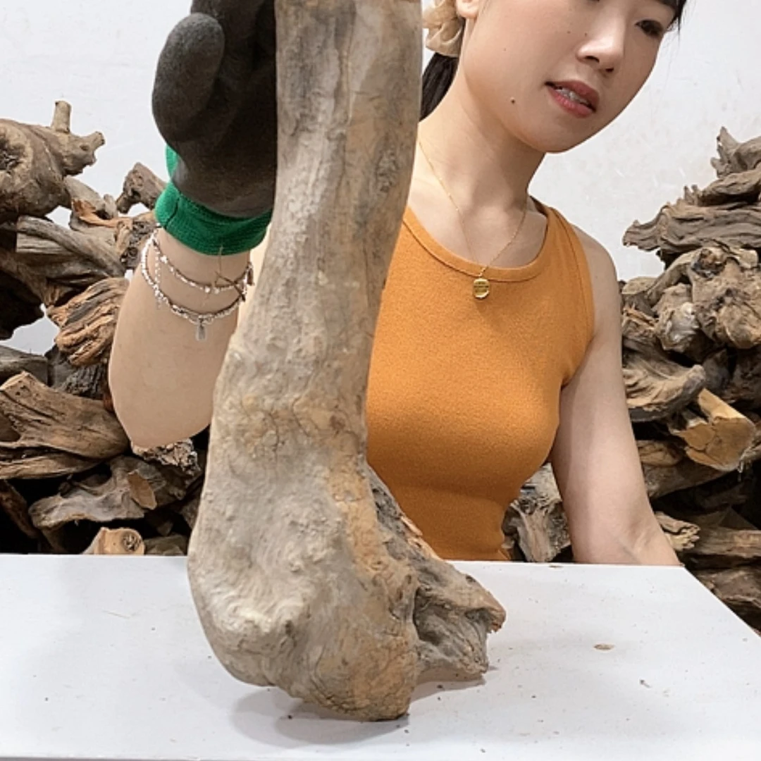 【闪购商品】柏木好**钱我们都是好孩子