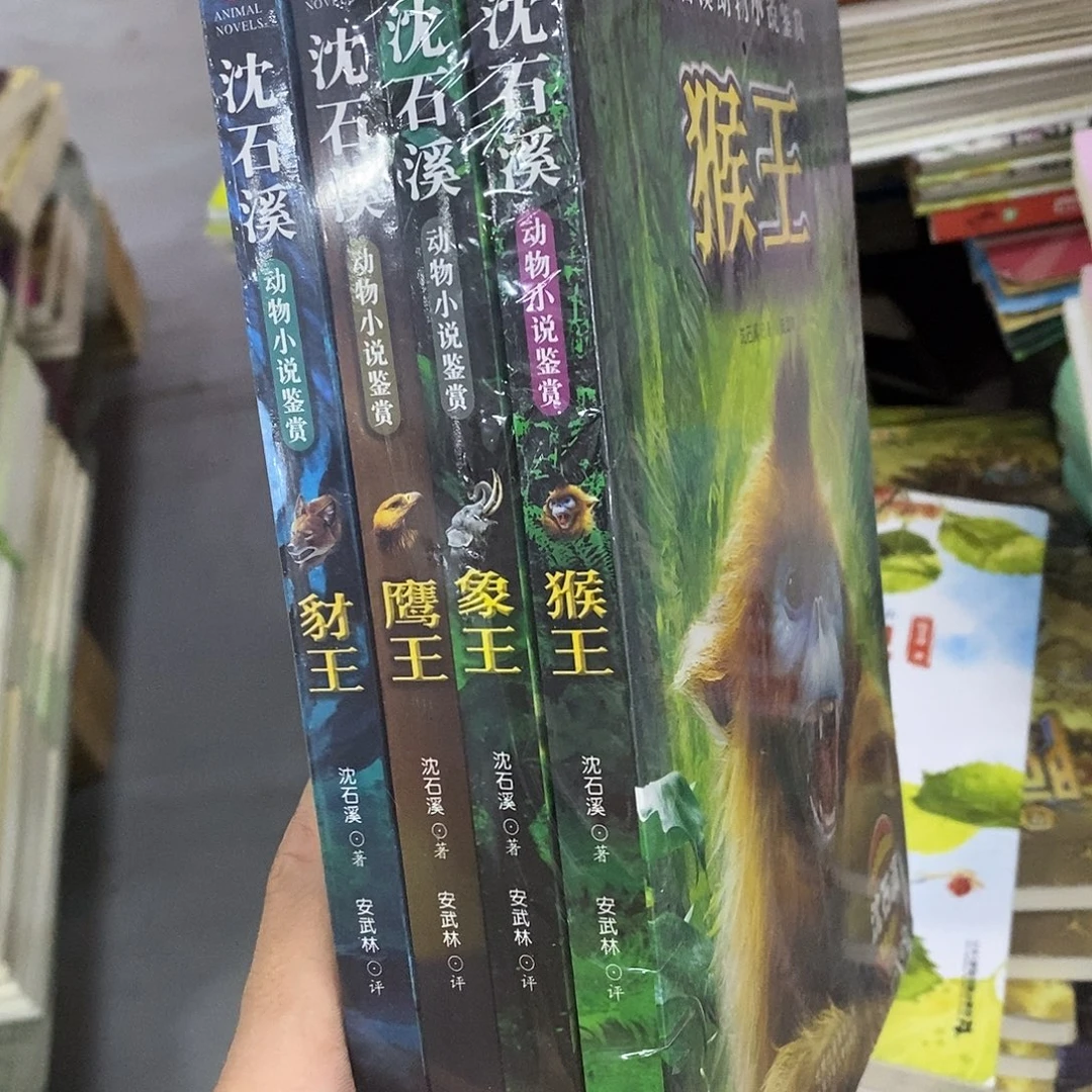 沈石溪4本王
