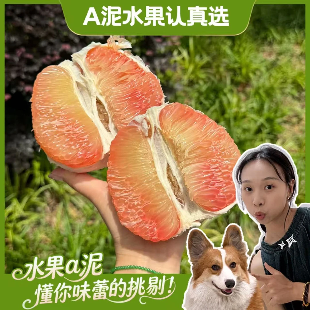 泰国进口紫金蜜柚 水润饱满细腻多汁2-4个装【坏果包赔+顺丰包邮】