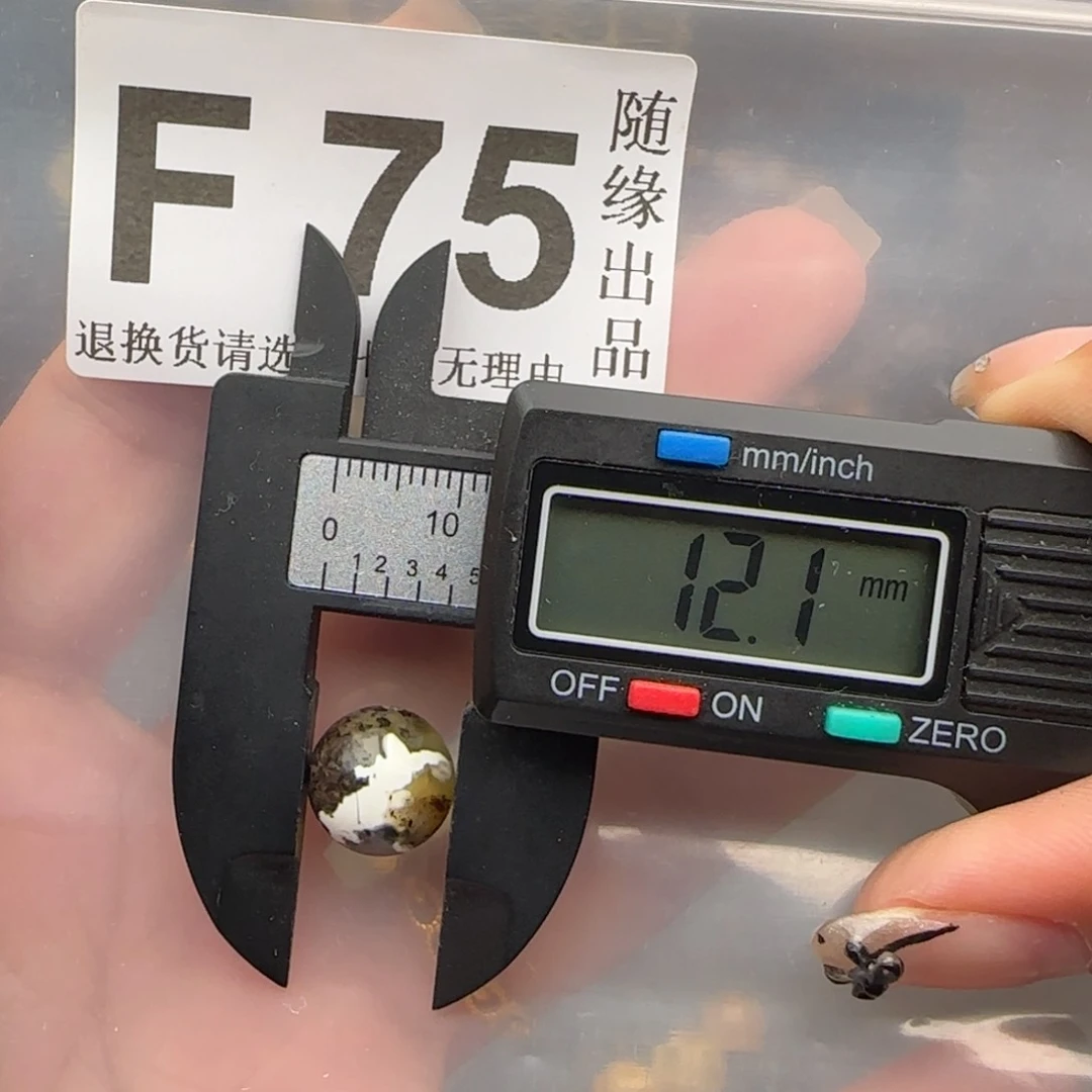 未镶嵌琥珀裸石12尺寸