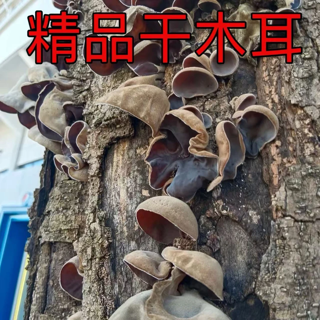 农家自摘头茬黑木耳干货/1袋1斤
