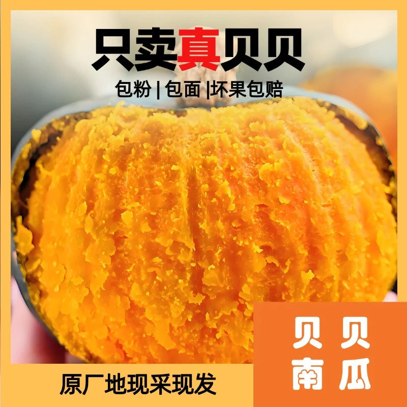 【出口品质】高海拔农家种植包粉包糯惠和贝贝南瓜4.5斤坏果包赔