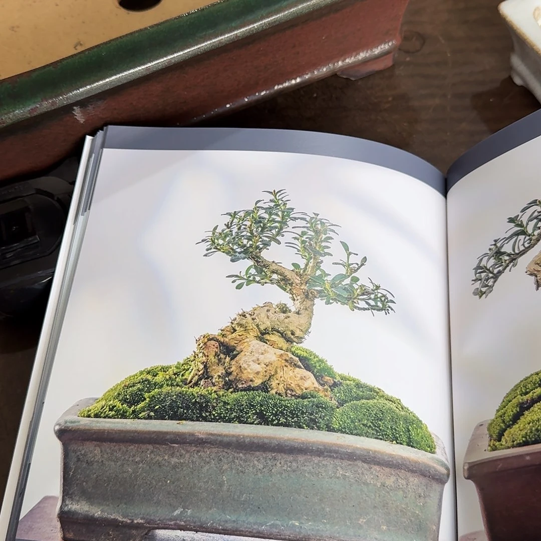 红陶林****）h h h h h h h h