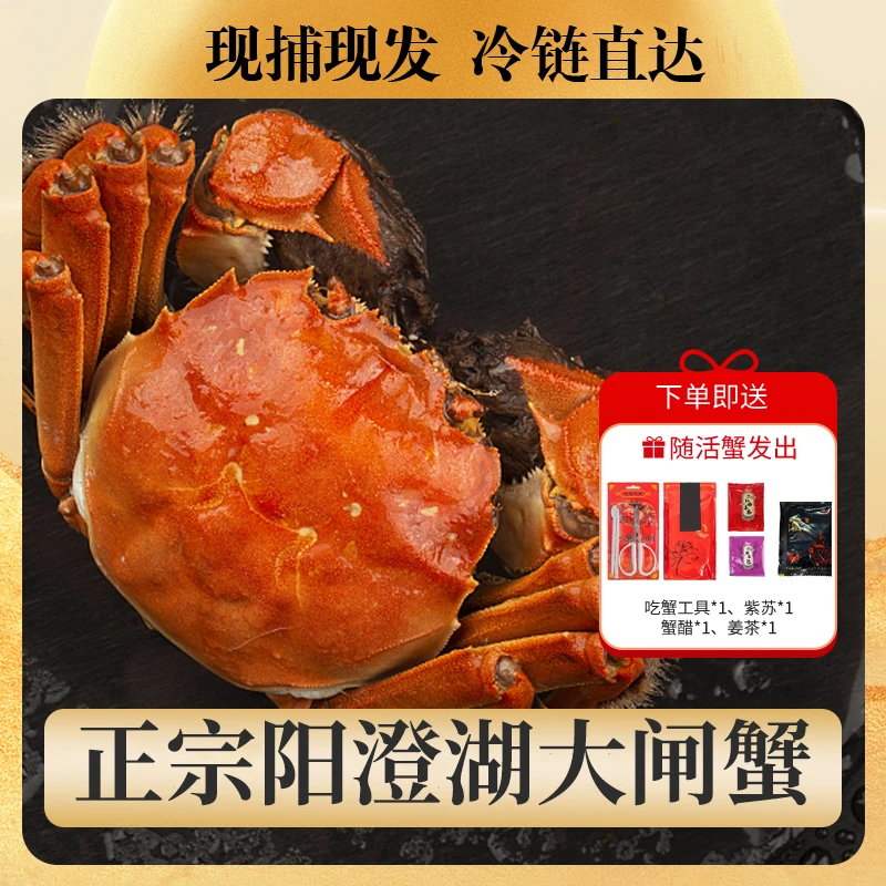 【活蟹】正宗阳澄湖大闸蟹公3.5两母2.5两8只 高端礼盒螃蟹塘养F