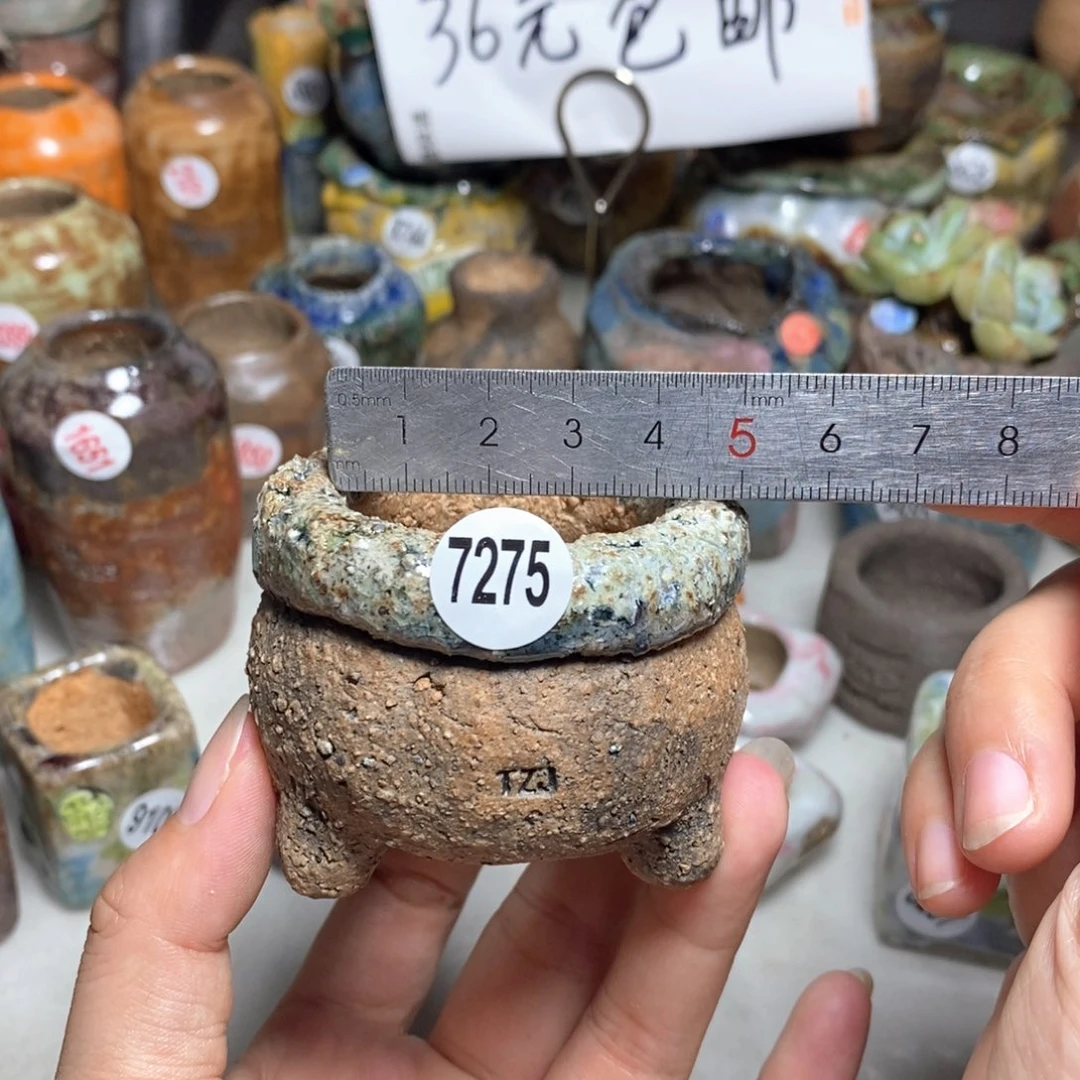 拍3送一个小礼物