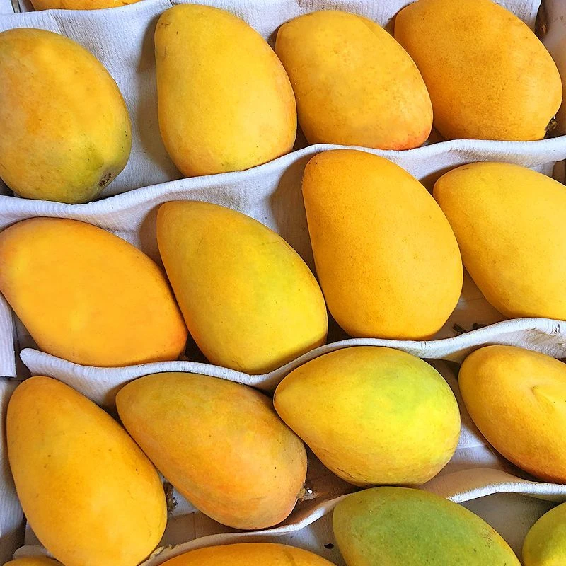 芒果8.8一斤芒果同城配