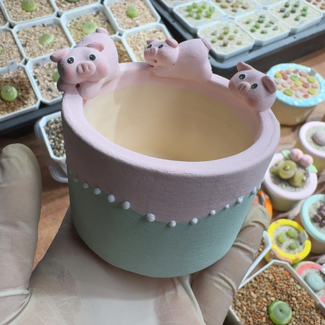 颜***.1223-026盆盆盆盆p