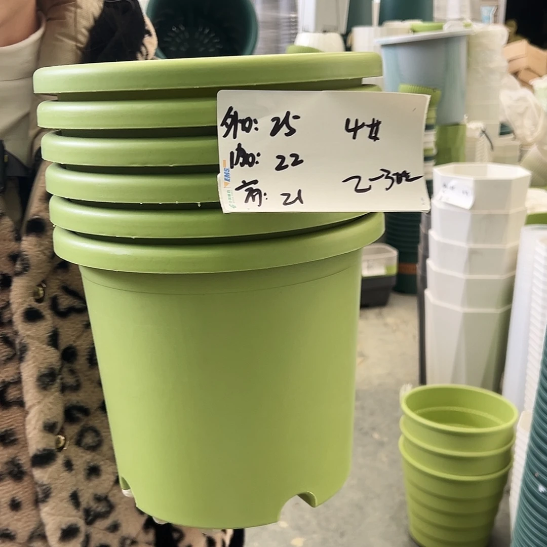 四季盆4#果绿8个无托