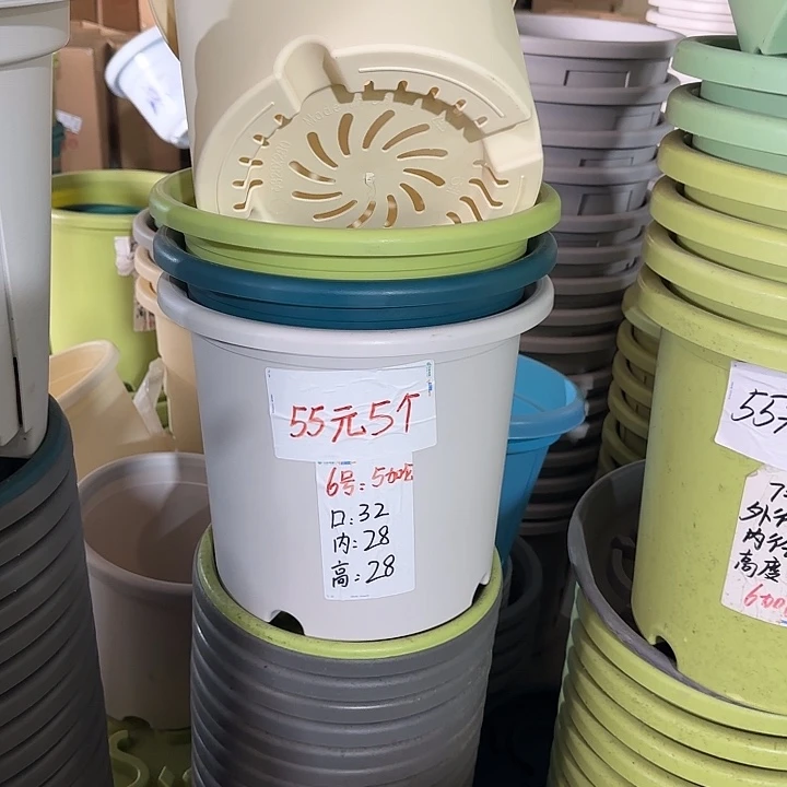 微瑕6#口径32无托果绿5个