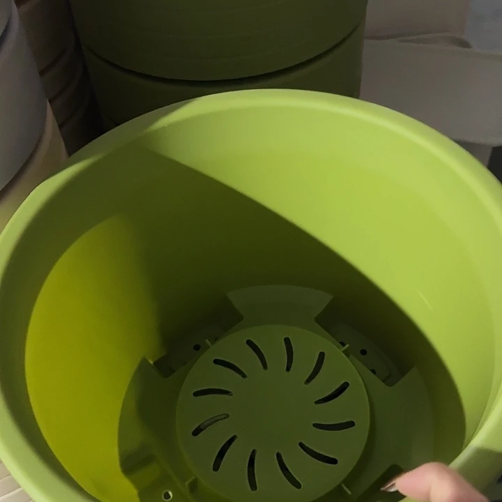 球根盆4号果绿无托5个