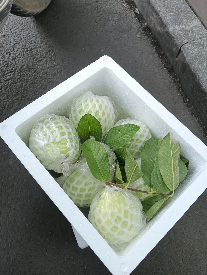 广西软糯白心芭乐新鲜白心番石榴软心水果芭乐鸡屎果芭乐水果