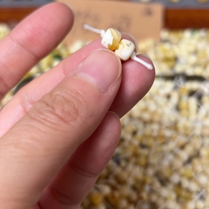 蜜蜡未镶嵌裸石6.4mm一对