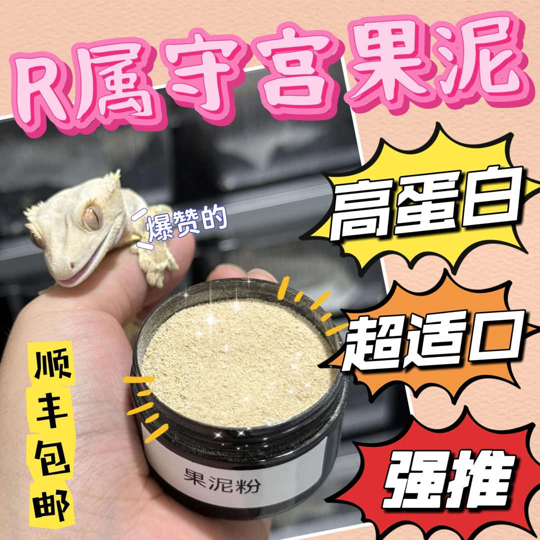 顺丰包邮爬宠果泥睫角魔物盖勾亚R属守宫昆虫水果味混合爬虫果泥