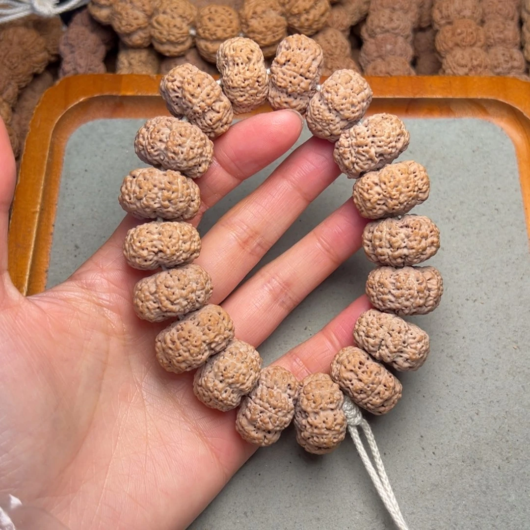 无***.菩提37号金刚菩提菠萝蜜夹板24