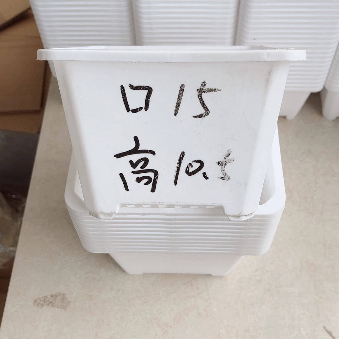 塑料福利款15方白色盆20个无托