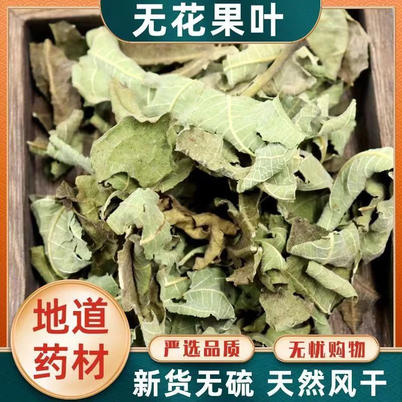 新货干叶片新鲜干叶子精选正品道地原产药用树叶通用无花果叶子