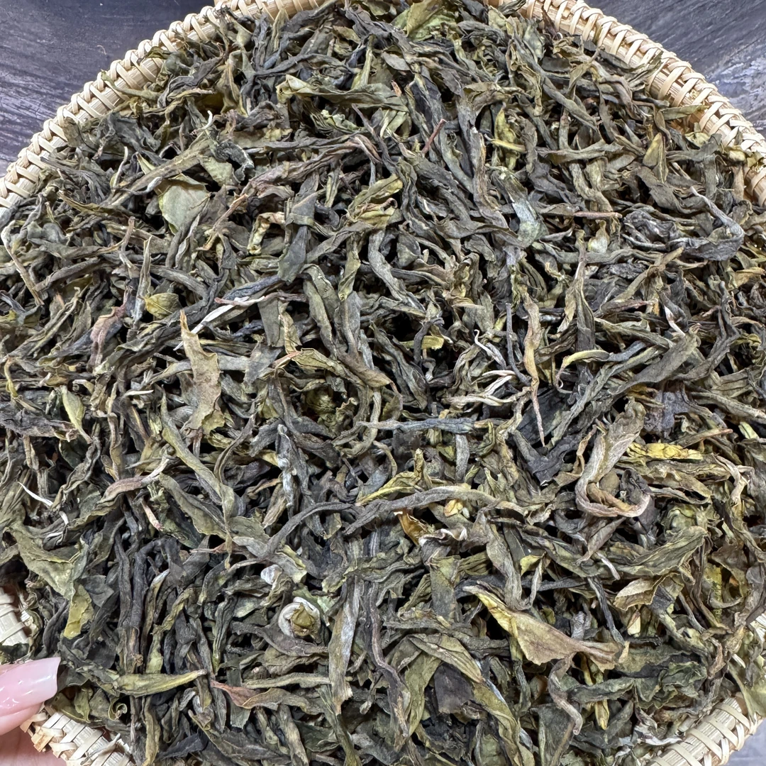 2025年头春老班章61号黄金叶