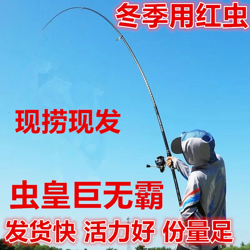 净重小虫【现捞现发】鸣虫食物蚂蚁工坊