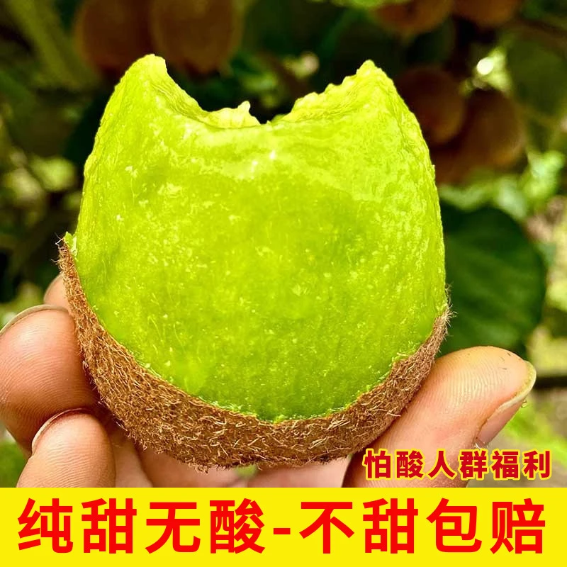 陕西眉县瑞玉绿心猕猴桃新鲜应季水果鲜甜多汁营养丰富