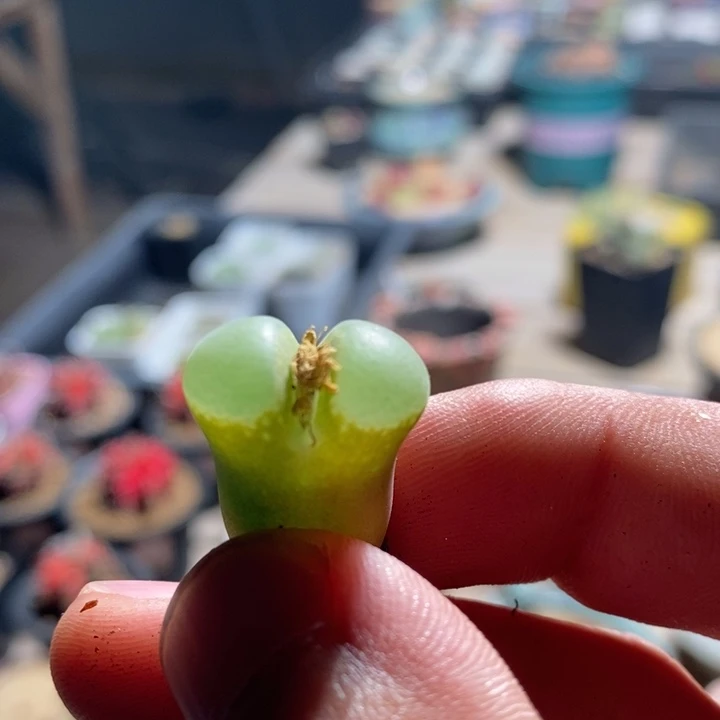 18111一个一个一个