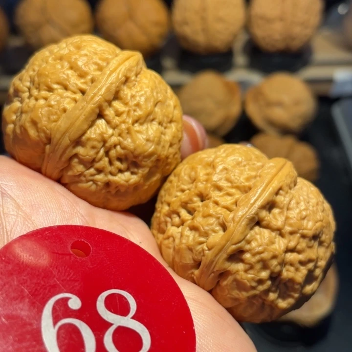 粗筋蛇皮元宝尺寸39