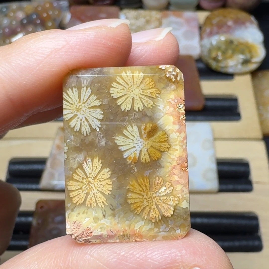 硅化玉有彩骨骼的玉透大花未镶嵌