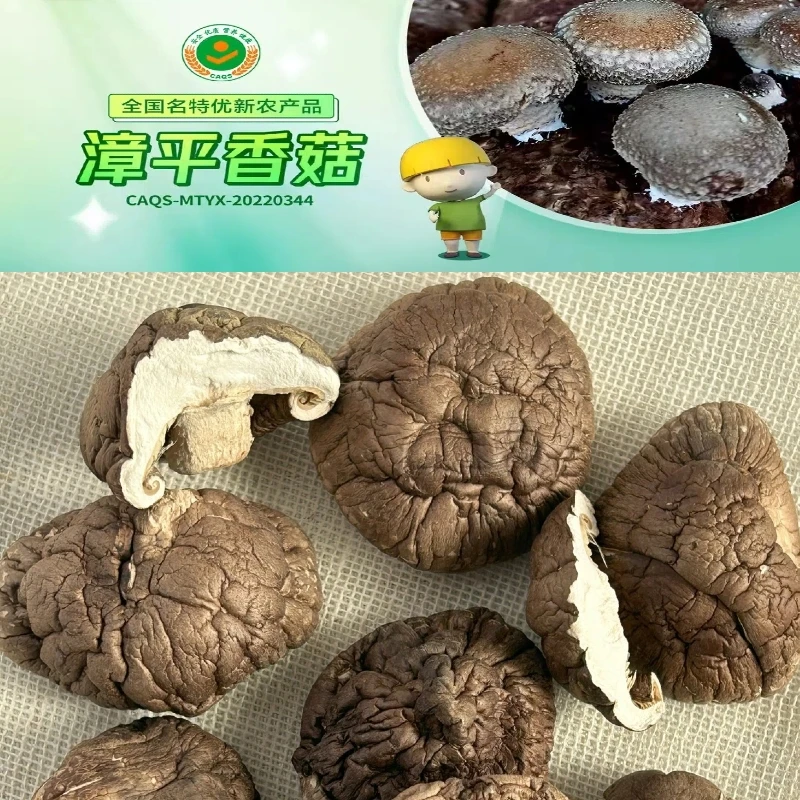 干香菇漳平香菇蘑菇土豆中厚肉型超香口感嫩滑香菇干冬菇干蘑菇