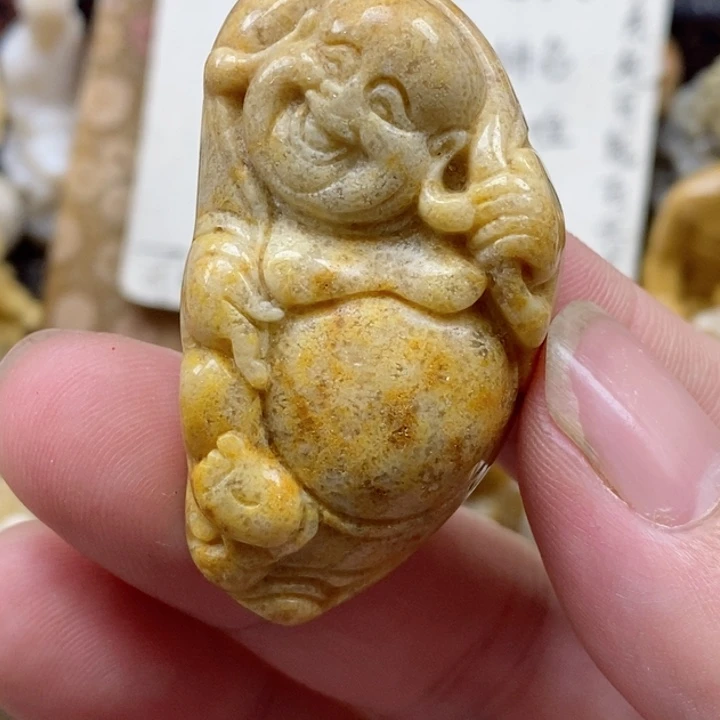 颈饰未镶嵌硅化珊瑚（珊瑚玉）