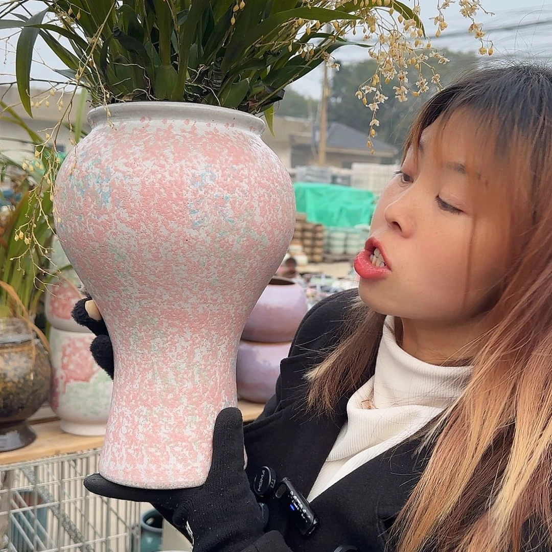 王嫂花盆1230-347高30口16