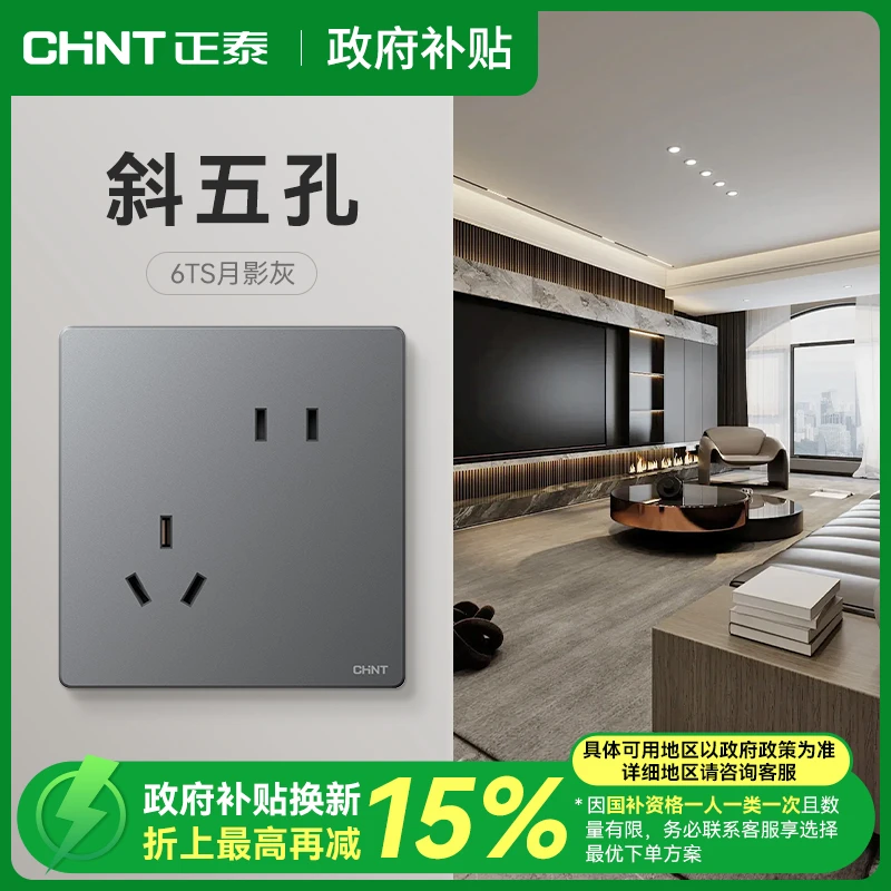 CHNT/正泰【政府补贴】6TS灰色斜五孔开关插座开关全屋套餐86型