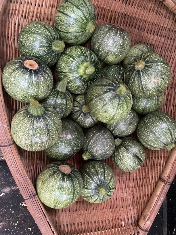 贵州本地新鲜嫩南瓜小南瓜农家自种土南瓜嫩瓜迷你小南瓜