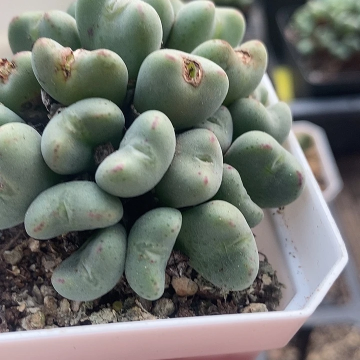 今天晚上不去3009