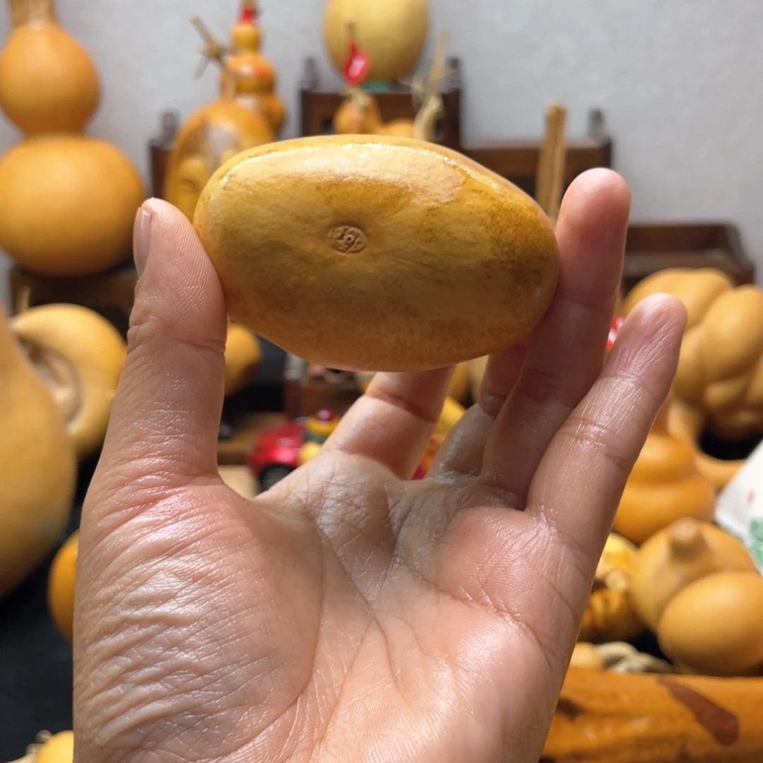 奇*君大自然的秘密是什么啊