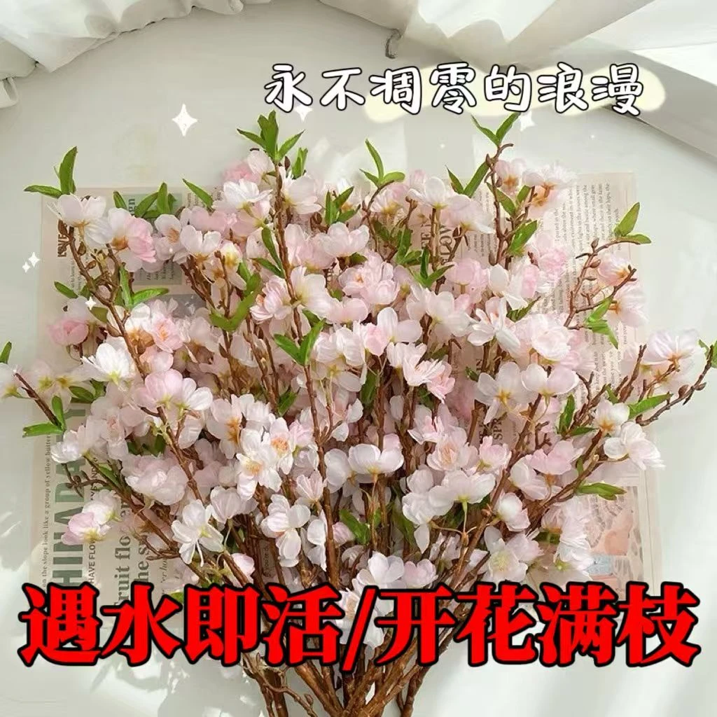 【遇水开花】带苞发货水培新鲜桃花枝遇水开花清新空气耐寒室内绿植