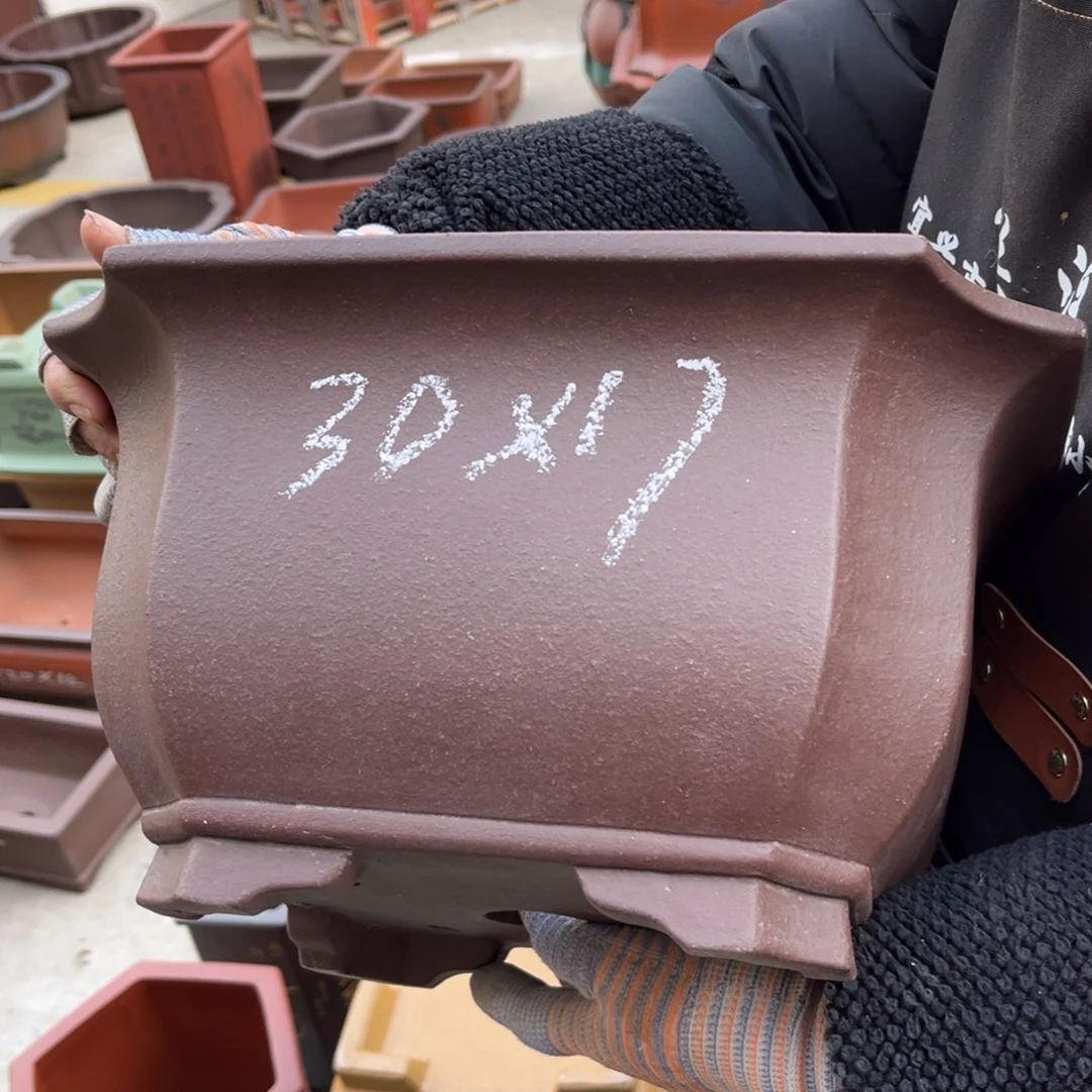 紫砂花盆盆景艺术