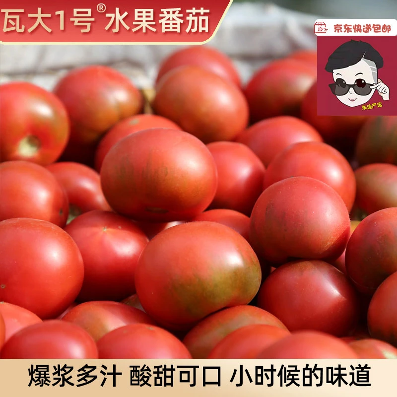 【绿色食品】瓦大1号自然熟鲜食西红柿孕妇老人宝宝水果番茄3-5斤