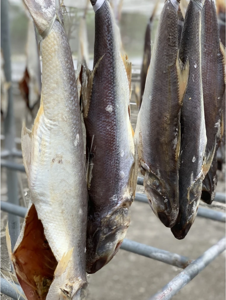 正宗非遗台山马友鱼干整条称重1.3-2.8斤