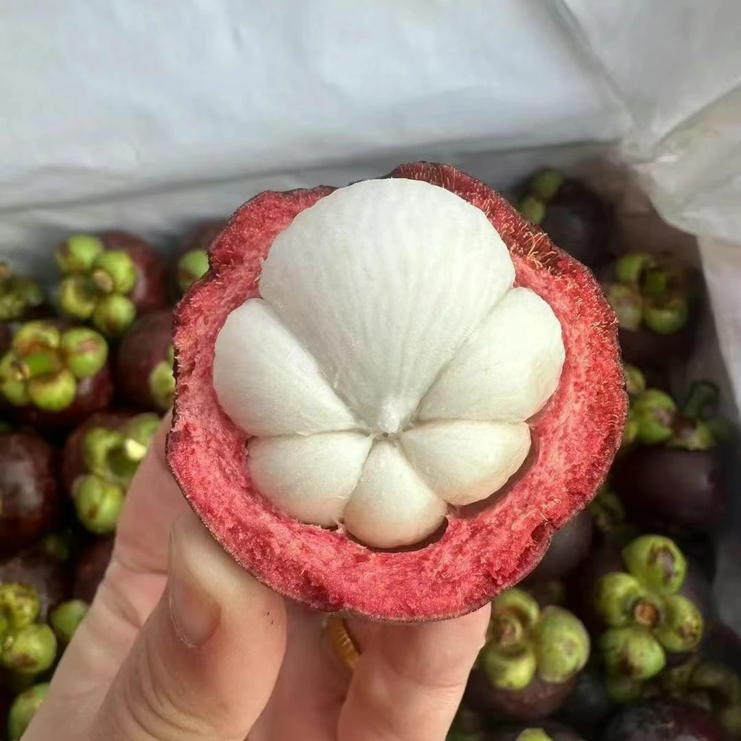 【泰国老树麻竹4A山竹3斤净】大个漂亮白山竹顺丰同城送货上门新鲜