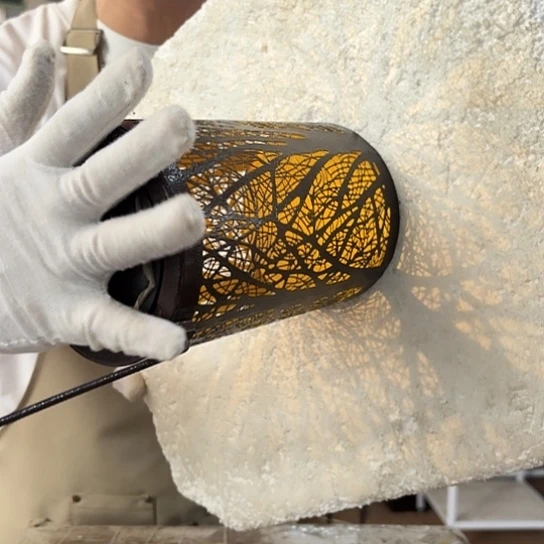 核桃木/黑胡桃（胡桃木）