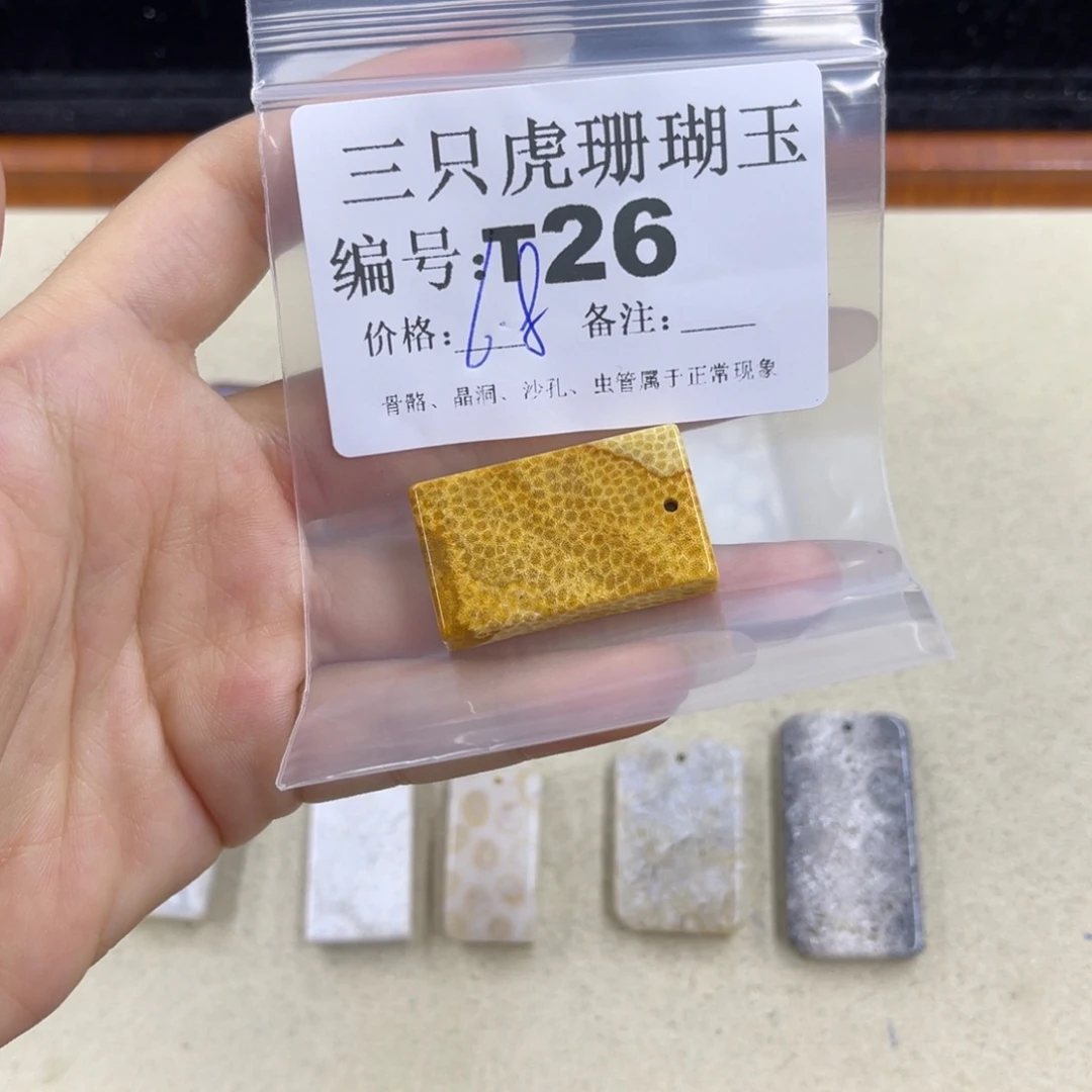 叁***迁硅化珊瑚（珊瑚玉）h银S925镀金镶嵌