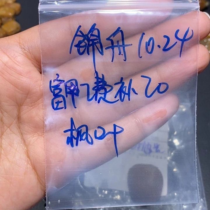 【闪购商品】未镶嵌珊瑚玉硅化玉锦*