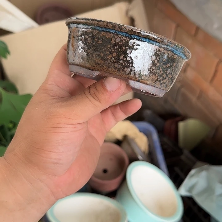 你说了就可以咯吧不要