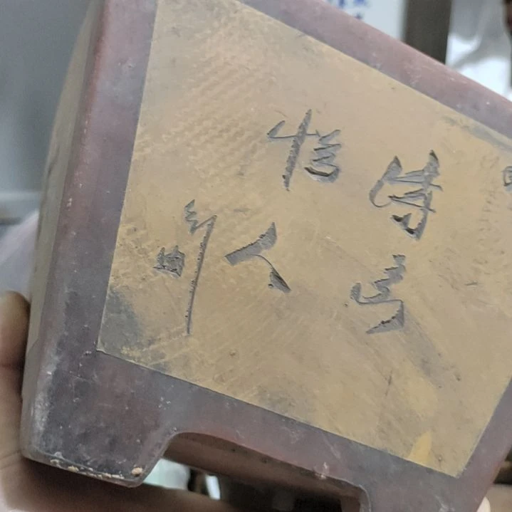 西***瓜完完整整谢谢谢谢